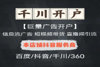 SEM广告投放中的数据监控与调整策略——以某品牌营销案例为例